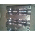 PET bottle mould